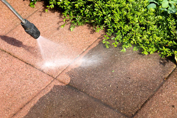 Best Roof Power Washing Services  in Utica, NE