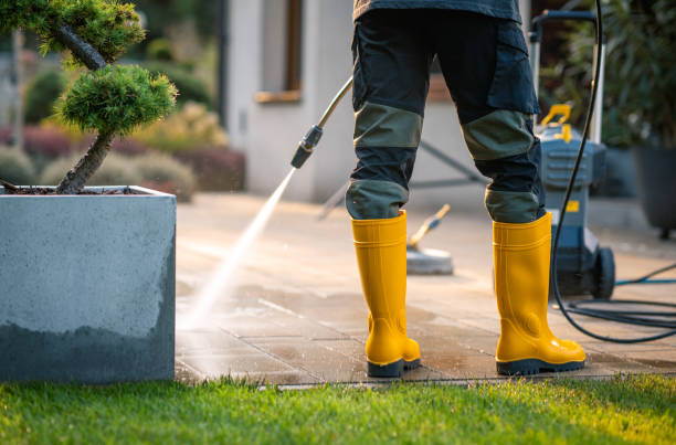 Best Affordable Pressure Washing  in Utica, NE